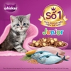 Hạt Whiskas Kitten cho Mèo con dưới 12 tháng tuổi 1.1kg