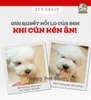 Natural Core Gà sấy phomai cho chó 180g