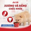Hạt JirehO Cá hồi cho chó con