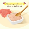 Pate sốt kem cho chó Doggyman 70g