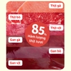 Pate sốt kem cho chó Doggyman 70g