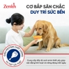Hạt mềm Zenith Classic cho chó mọi lứa tuổi 1kg