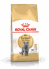 Hạt Royal Canin British Shorthair cho Mèo Anh Lông Ngắn