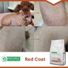Thức ăn cho chó lông sẫm màu - Nature's Protection Superior Care Red Coat