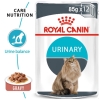 Pate Royal Canin Urinary Feline Care cho Mèo trưởng thành hỗ trợ tiết niệu 85g