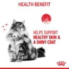 Pate Royal Canin Hair&Skin cho Mèo trưởng thành chăm sóc da lông 85g