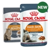 Pate Royal Canin Hair&Skin cho Mèo trưởng thành chăm sóc da lông 85g