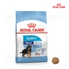 Thức ăn cho dòng Chó lớn dưới 12 tháng tuổi - Royal Canin Maxi Junior