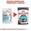 Pate cho Mèo trưởng thành Royal Canin Urinary Feline Care 85g