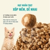 Hạt Bite Of Wild BOW B45 Tuna Slow Baked Tiêu Hóa Nhạy Cảm - Không Ngũ Cốc Cho Mèo Con Mèo Trưởng Thành 1kg