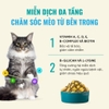 Hạt Bite Of Wild BOW F42 6Fish Formula Sức Khỏe Toàn Diện Không Ngũ Cốc Mix Topping Thịt Sấy Khô 1kg