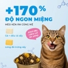 Hạt MrVet E series cao cấp cho mèo mọi lứa tuổi mix topping thịt sấy 1kg