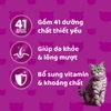 Hộp 6 gói Pate Whiskas dành mèo 80g