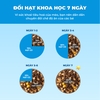 Hạt Cho Mèo MR.VET T1-T2-T3-T4 Holistic 1kg Mix Topping Thịt Đông Khô Cho Mọi Lứa Tuổi
