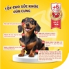Sữa bột cho chó con Dr.Kyan Predogen Gold 100g 400g