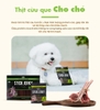 🥨 🐶 Thịt cừu que cho chó Bowwow lamb stick 🥖 🐐