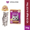 Pate Whiskas cho mèo trưởng thành 80g