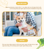 Bánh thưởng Bowwow cho Chó phomai viên 100g