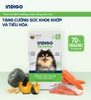 Thức ăn hạt cho chó Indigo tăng cường sức khỏe khớp và tiêu hóa