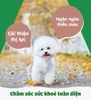 Đồ thưởng Natural Core cho chó Gan bò xông khói 45g