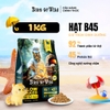Hạt Bite Of Wild BOW B45 Tuna Slow Baked Tiêu Hóa Nhạy Cảm - Không Ngũ Cốc Cho Mèo Con Mèo Trưởng Thành 1kg