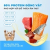 Hạt MrVet E series cao cấp cho mèo mọi lứa tuổi mix topping thịt sấy 1kg
