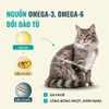 Hạt Bite Of Wild BOW B45 Tuna Slow Baked Tiêu Hóa Nhạy Cảm - Không Ngũ Cốc Cho Mèo Con Mèo Trưởng Thành 1kg