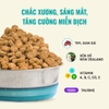 Hạt Bite Of Wild BOW B45 Tuna Slow Baked Tiêu Hóa Nhạy Cảm - Không Ngũ Cốc Cho Mèo Con Mèo Trưởng Thành 1kg