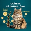 Hạt Bite Of Wild Farm BOW Cho Mèo Mọi Lứa Tuổi Không Ngũ Cốc, Giàu Đạm 1.5kg