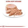 Pate Lon Cho Chó Mẹ & Chó Con Royal Canin Starter Mother & BabyDog Mousse 195g