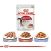 Pate Royal Canin Instinctive cho Mèo trưởng thành 85g