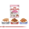😻Pate Royal Canin Kitten Instinctive cho Mèo con dưới 12 tháng tuổi 85g🐾
