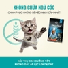 Hạt Bite Of Wild BOW F42 6Fish Formula Sức Khỏe Toàn Diện Không Ngũ Cốc Mix Topping Thịt Sấy Khô 1kg