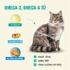 Hạt Bite Of Wild BOW F42 6Fish Formula Sức Khỏe Toàn Diện Không Ngũ Cốc Mix Topping Thịt Sấy Khô 1kg