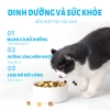 Hạt Cho Mèo MR.VET T1-T2-T3-T4 Holistic 1kg Mix Topping Thịt Đông Khô Cho Mọi Lứa Tuổi