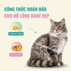 Hạt Bite Of Wild BOW K42 Tuna Soft Cho Mèo Con Không Ngũ Cốc Grain-free 1kg
