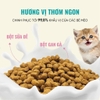 Hạt Bite Of Wild BOW K42 Tuna Soft Cho Mèo Con Không Ngũ Cốc Grain-free 1kg