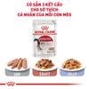 Pate Royal Canin Intense cho Mèo hỗ trợ đẹp da và lông 85g
