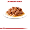 Pate Royal Canin Hairball Care cho Mèo trưởng thành giúp ngừa búi lông 85g