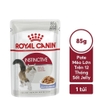 Pate Royal Canin Intense cho Mèo hỗ trợ đẹp da và lông 85g