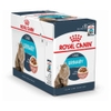 Pate cho Mèo trưởng thành Royal Canin Urinary Feline Care 85g