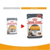 Pate Royal Canin Hair&Skin cho Mèo trưởng thành chăm sóc da lông 85g