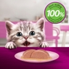 Hộp 6 gói Pate Whiskas dành mèo 80g