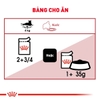 Pate Royal Canin Intense cho Mèo hỗ trợ đẹp da và lông 85g