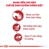 Pate Royal Canin Intense cho Mèo hỗ trợ đẹp da và lông 85g