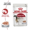 Pate Royal Canin Intense cho Mèo hỗ trợ đẹp da và lông 85g