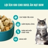 Hạt Bite Of Wild BOW P42 High Meat Cải Thiện Tiêu Hóa - Không Ngũ Cốc Mix Topping Thịt Sấy Khô 1kg