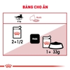 Pate Royal Canin Intense cho Mèo hỗ trợ đẹp da và lông 85g
