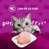 Pate Whiskas cho mèo trưởng thành 80g