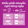 Pate Whiskas cho mèo trưởng thành 80g